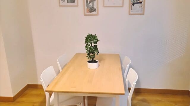 apartamento centro norte chamartin madrid 3