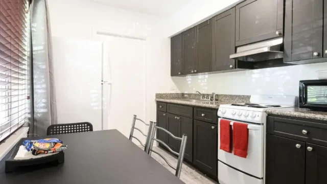 hotel miami florida the oasis 5